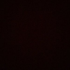 Meet your Posher, Paulina